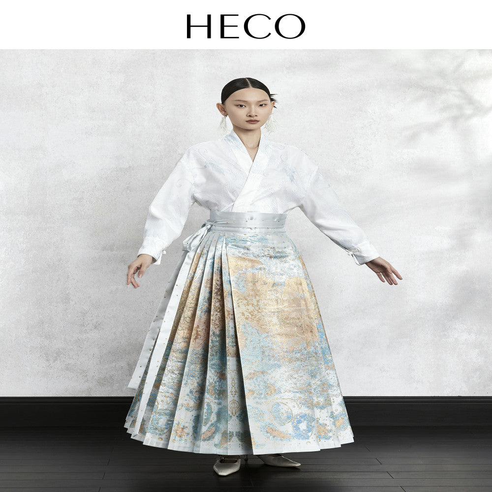 HECO Nebula Fantasy New Chinese style woven gold jacquard horse face skirt 2025 new style temperament high end half skirt image 29