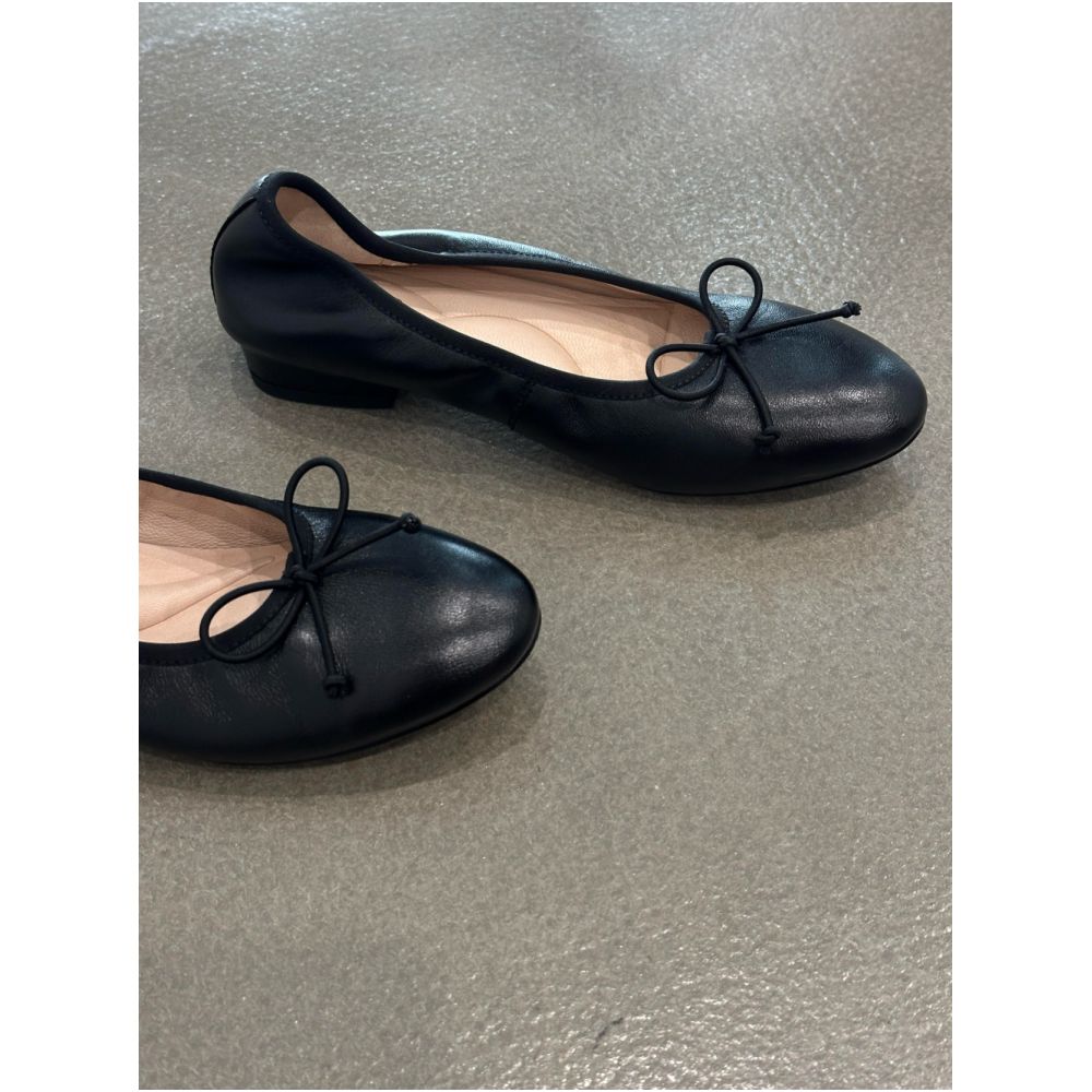 Simple soft soled comfortable flat shoes for commuting new Korean style round toe low cut Mary Jane style for women 2026 image 2