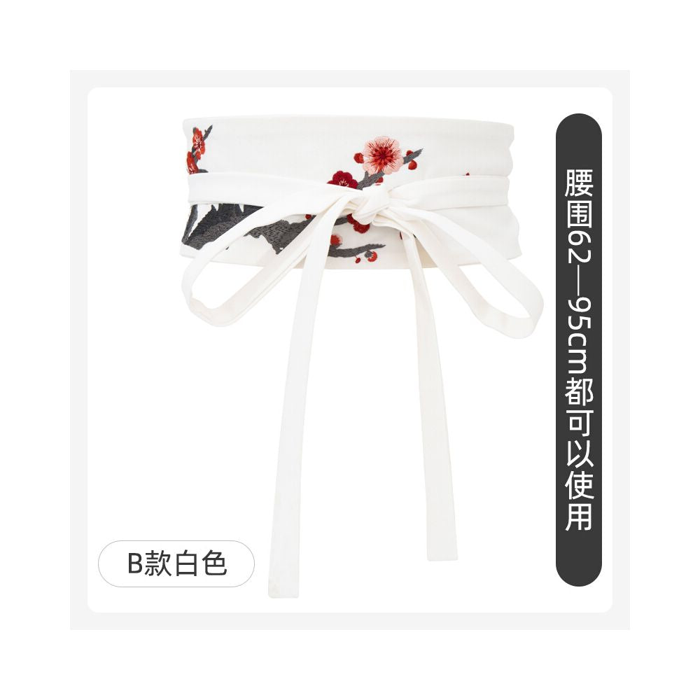 New Chinese style horse faced skirt dress with red embroidered Hanfu waistband women s skirt accessories palace retro Chinese style image 19